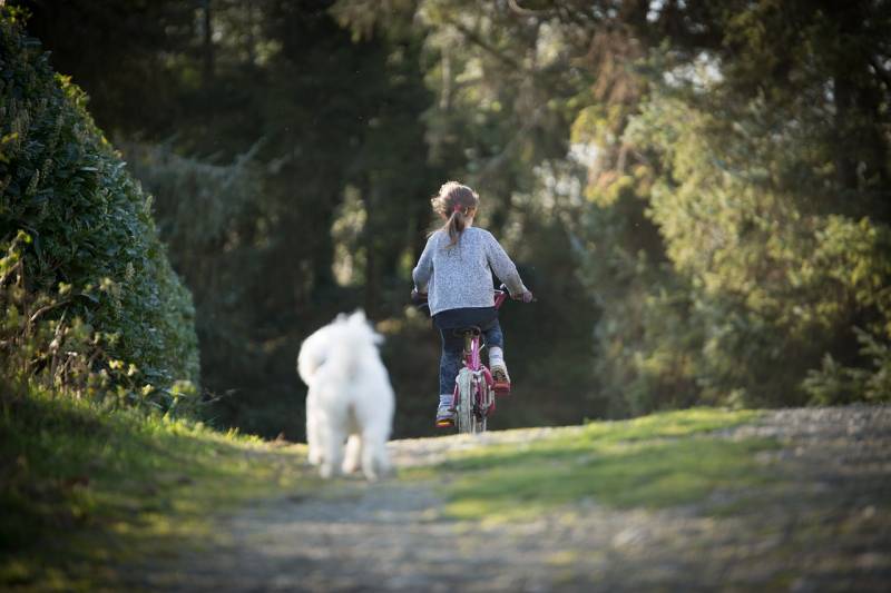 Vacances en famille avec location de vélo dans le Sud de la France dans le Var à La Londe les Maures